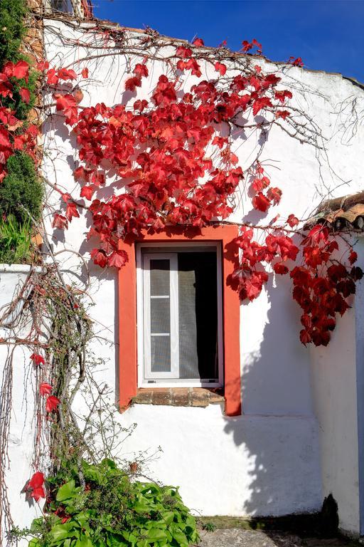 Cortijo La Hoya ξενώνας El Bujeo Εξωτερικό φωτογραφία